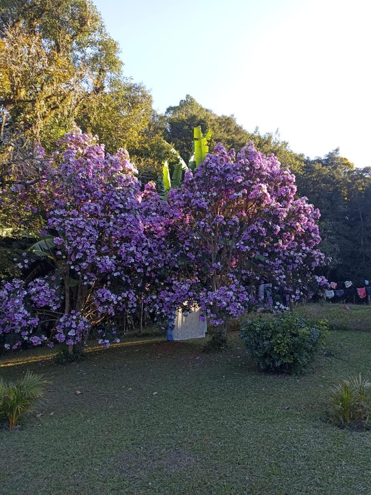 Chacara Cafe Nakombi'S Colombo Bagian luar foto